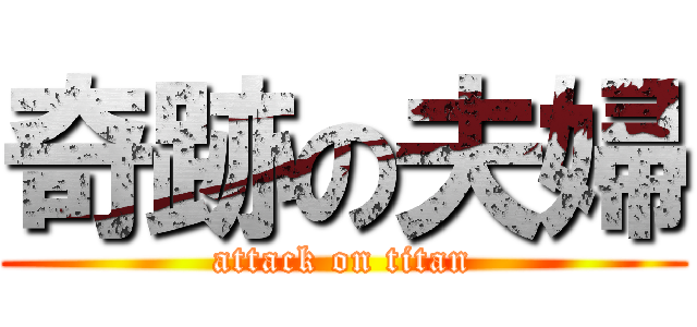 奇跡の夫婦 (attack on titan)