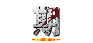 期 ()