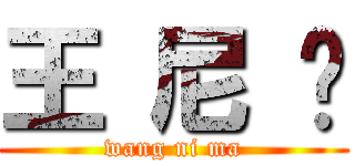 王 尼 玛 (wang ni ma)