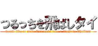 つるっちを飛ばしタイ (would like to make Tsuruoka take a flight in Thailand)
