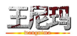 王尼玛 (wangnima)