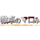 教卓のマロみ (   desk on maro)