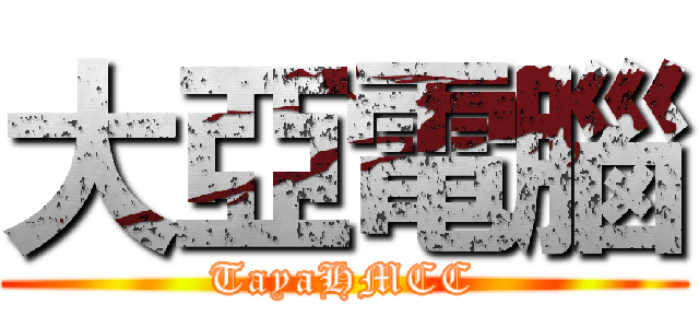 大亞電腦 (TayaHMCC)