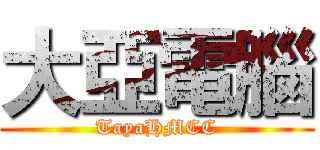 大亞電腦 (TayaHMCC)