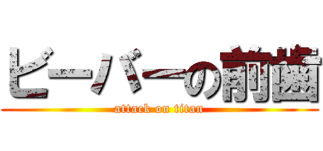 ビーバーの前歯 (attack on titan)