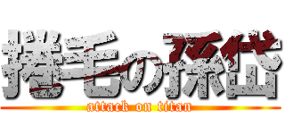 捲毛の孫岱 (attack on titan)