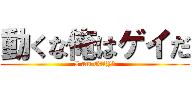 動くな俺はゲイだ (I am GAY♂)