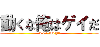 動くな俺はゲイだ (I am GAY♂)