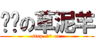 傻傻の草泥羊 (stup~＠^ on )