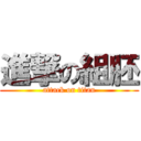 進撃の組胚 (attack on titan)