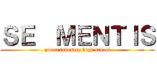 ＳＥ  ＭＥＮＴＩＳ (ginan industry high school)