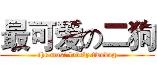 最可爱の二狗 (the most lovely twodog)