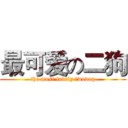 最可爱の二狗 (the most lovely twodog)