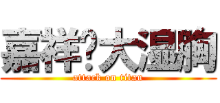 嘉祥灬大湿胸 (attack on titan)