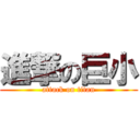 進撃の巨小 (attack on titan)