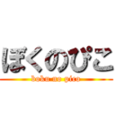 ぼくのぴこ (boku no pico)