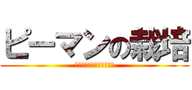 ピーマンの栽培 (Ｃｕｌｔｉ　ｖａｔｉｏｎ)