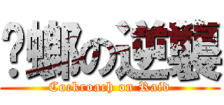 蟑螂の逆襲 (Cockroach on Raid)