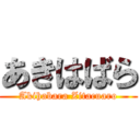 あきはばら (Akihabara Zitacuaro)