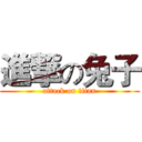 進撃の兔子 (attack on titan)