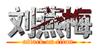 刘燕梅 (attack on titan)