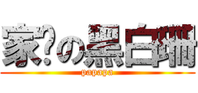 家产の黑白珊 (papapa)