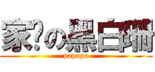 家产の黑白珊 (papapa)