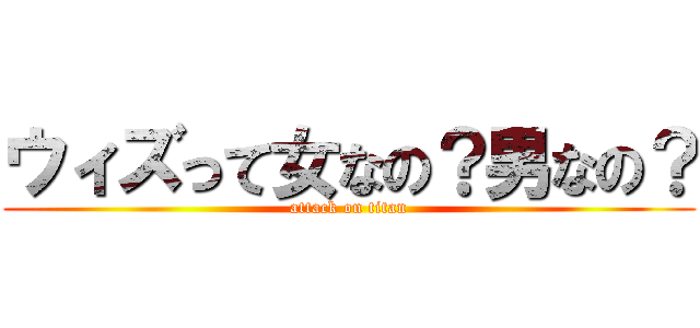 ウィズって女なの？男なの？ (attack on titan)