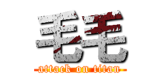 毛毛 (attack on titan)