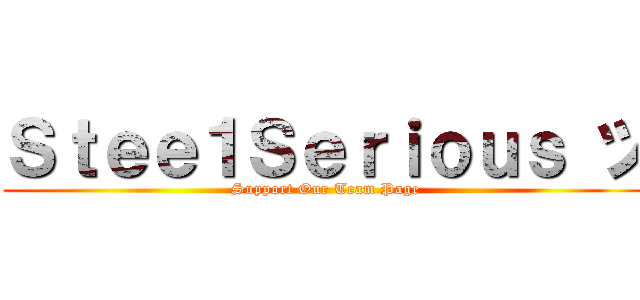 Ｓｔｅｅ１Ｓｅｒｉｏｕｓ ツ (Support Our Team Page)