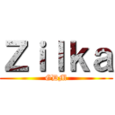 Ｚｉｌｋａ (GDM)