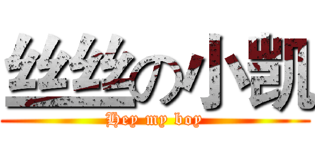 丝丝の小凯 (Hey my boy)