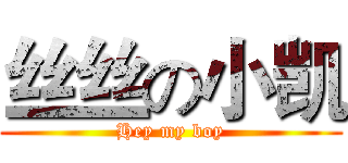 丝丝の小凯 (Hey my boy)
