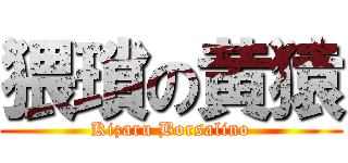 猥瑣の黄猿 (Kizaru Borsalino)