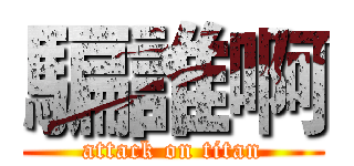 騙誰啊 (attack on titan)