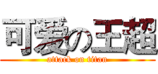 可爱の王超 (attack on titan)