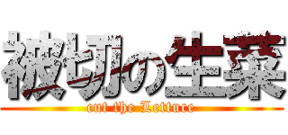 被切の生菜 (cut the Lettuce)