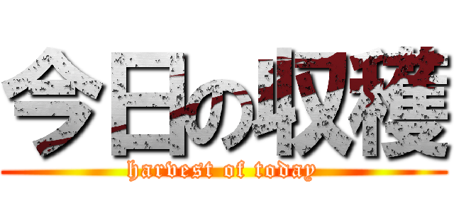 今日の収穫 (harvest of today)