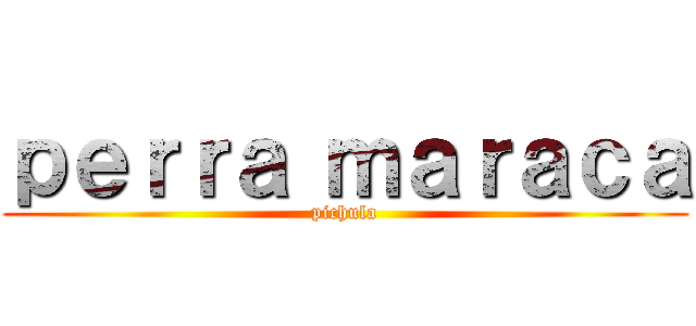 ｐｅｒｒａ ｍａｒａｃａ (pichula)