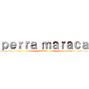 ｐｅｒｒａ ｍａｒａｃａ (pichula)