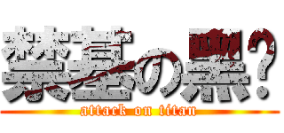 禁基の黑貓 (attack on titan)