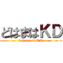 どはまはＫＤ (dohama is KD)