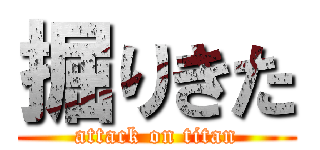 掘りきた (attack on titan)