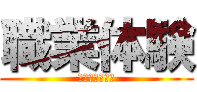 職業体験 (インターシップ)