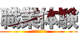 職業体験 (インターシップ)