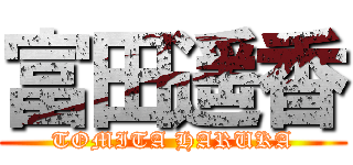 富田遥香 (TOMITA HARUKA)