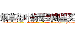 烟草花叶病毒到哪里买 (烟草花叶病毒到哪里买【电-186x2687x6963-Q278180069元-吉-药-业】我们做的是长期生意,靠的是老客户长期支持 http://sngk.net/P8kwSE
)