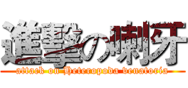 進擊の喇牙 (attack on Heteropoda venatoria)
