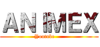 ＡＮＩＭＥＸ (               Youtube                    )