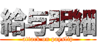 給与明細 (attack on payslip)